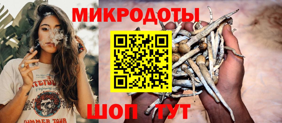 Галлюциногенные грибы Cubensis Усть-Джегута