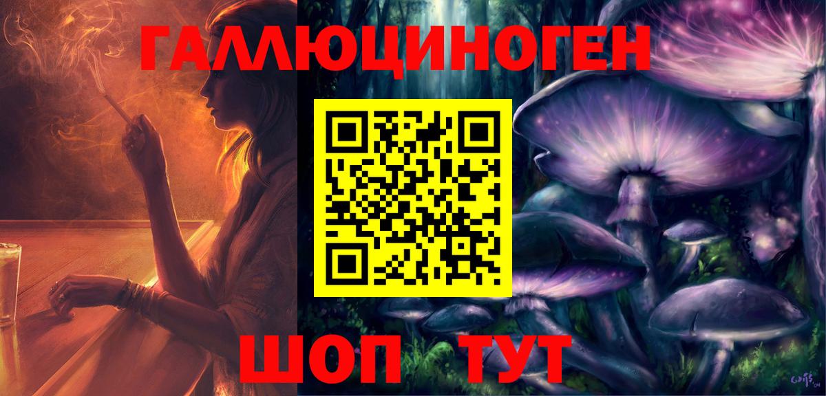Усть-Джегута  Галлюциногенные грибы Psilocybine cubensis  Галлюциногенные грибы Psilocybine cubensis  Вход с VPN 